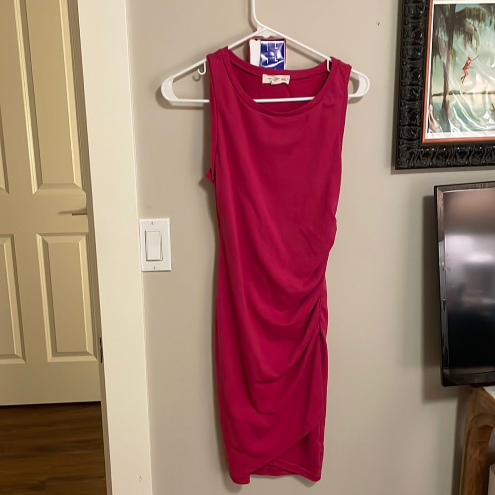 Treasure and Bond pink dress